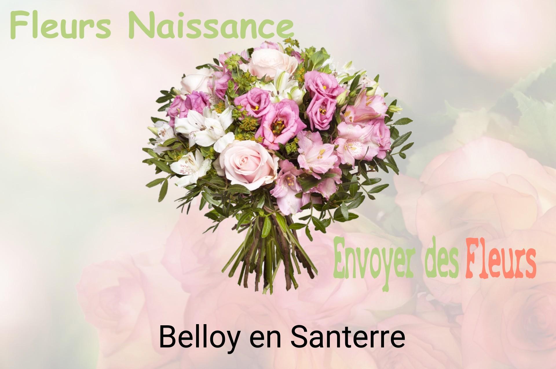 Bouquet de fleurs de naissance livré à Belloy-en-Santerre